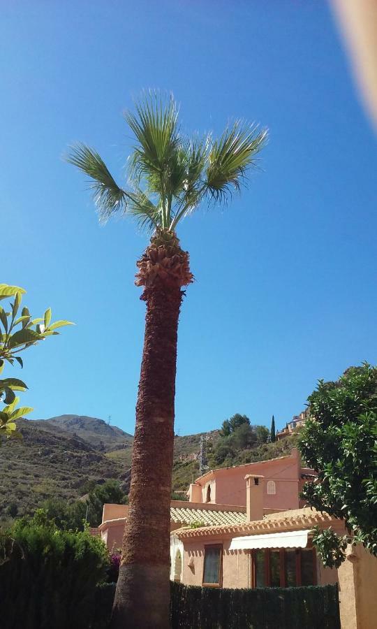 טורה Cedra 5, Holiday Home, Cosy Apartment מראה חיצוני תמונה
